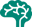Brain