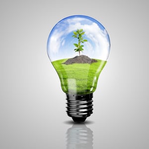 Electric light bulb and a plant inside it as symbol of sustainable development and structured innovation. 